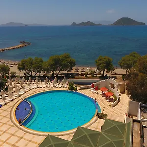 book here